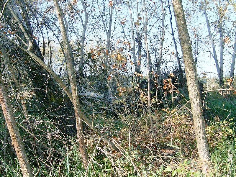 2010.10.09. 014.jpg